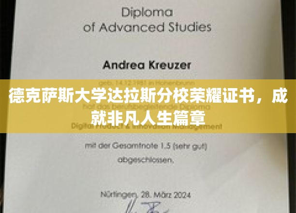 德克萨斯大学达拉斯分校荣耀证书，铸就非凡人生篇章