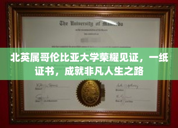 跨越北大西洋的荣耀足迹，英属哥伦比亚大学证书见证非凡旅程