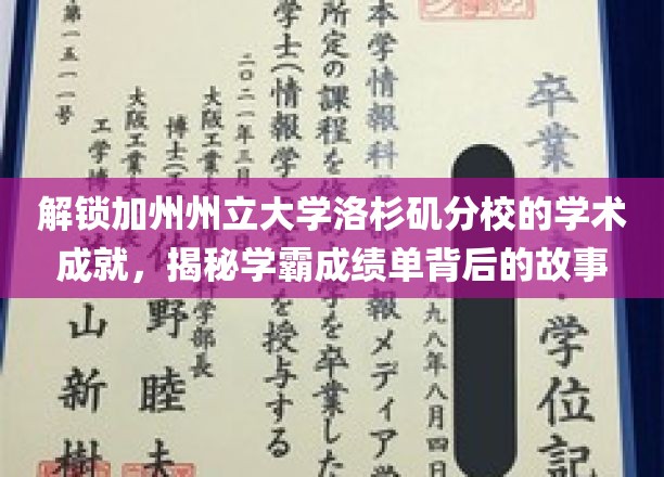 探寻加州州大洛杉矶分校学霸传奇，揭秘高分背后的奋斗轨迹