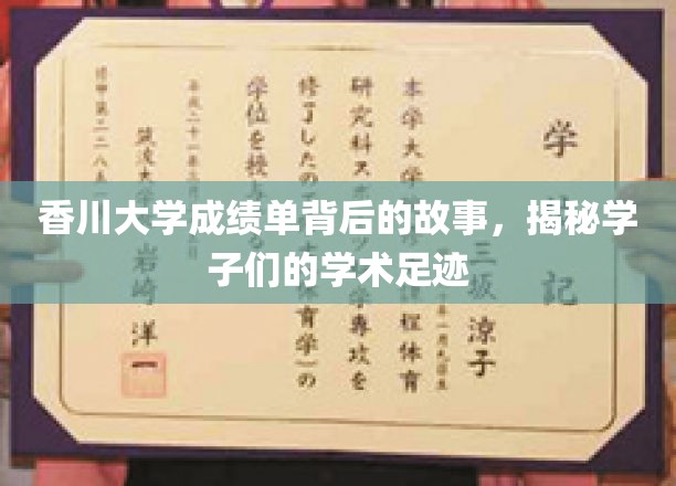 探寻香川学子足迹，揭开成绩单背后的学术奥秘