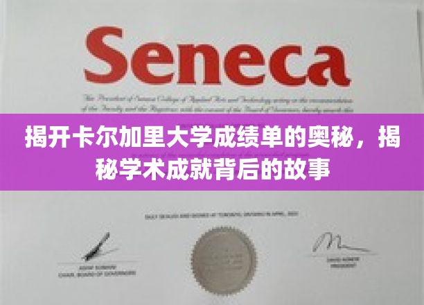 揭开卡尔加里大学成绩单的奥秘，揭秘学术成就背后的故事