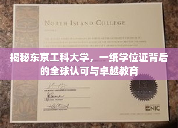 东京工科大学，全球认可的学位证，卓越教育的见证