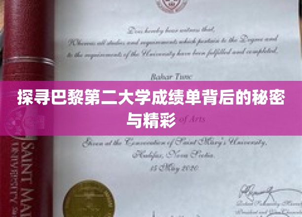 巴黎第二大学成绩单，揭开学术成就的神秘面纱