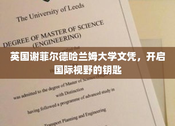 谢菲尔德哈兰姆大学文凭，解锁全球视野的通行证