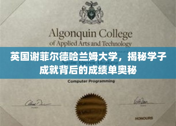 英国谢菲尔德哈兰姆大学，揭秘学子成就背后的成绩单奥秘