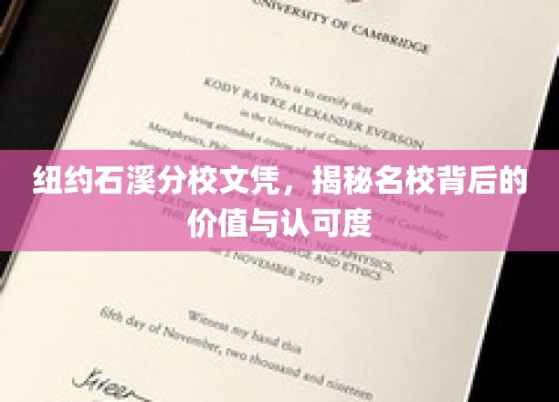 石溪名校光环，纽约分校文凭的价值探索与全球认可深度解析