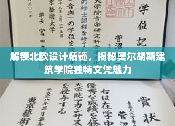 解锁北欧设计精髓，揭秘奥尔胡斯建筑学院独特文凭魅力