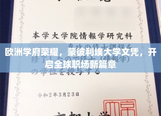 欧洲名校荣耀加持，蒙彼利埃大学文凭助力职场新飞跃