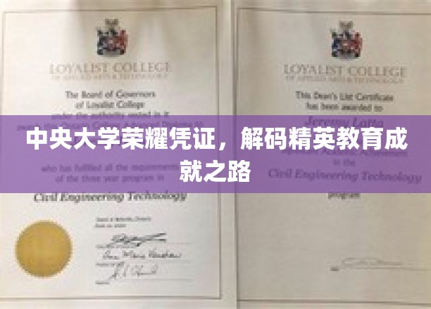 中央大学精英养成记，揭秘百年学府的教育传奇