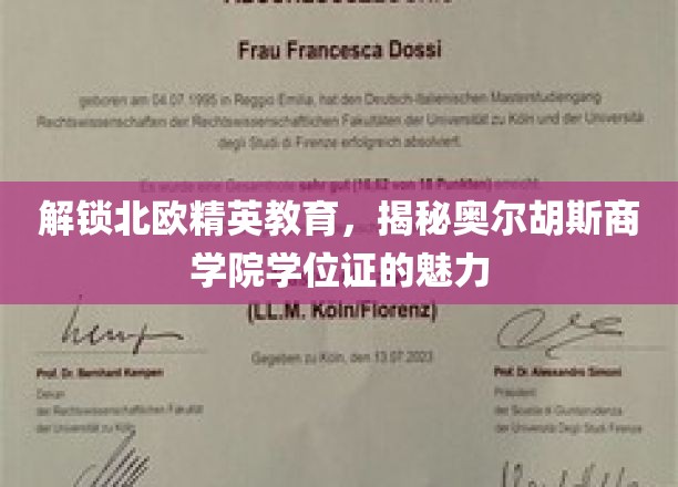 解锁北欧精英教育，揭秘奥尔胡斯商学院学位证的魅力