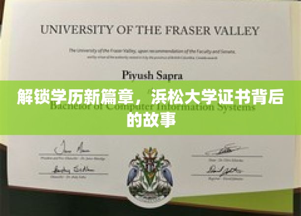 探寻浜松大学学历证书的传奇之旅