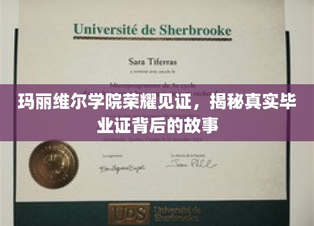 玛丽维尔学院毕业证背后的传奇，揭秘荣耀背后的真实历程