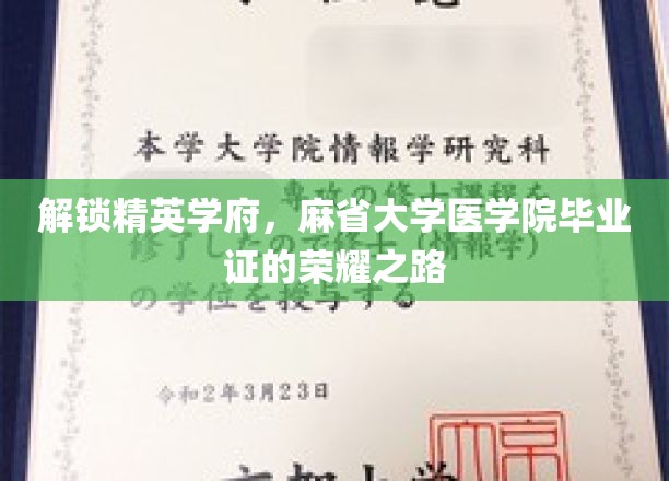 迈入巅峰殿堂，揭秘麻省大学医学院精英学子荣耀之路