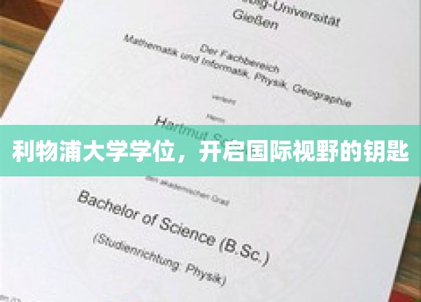 解锁全球视野，利物浦大学学位，成就未来精英之路