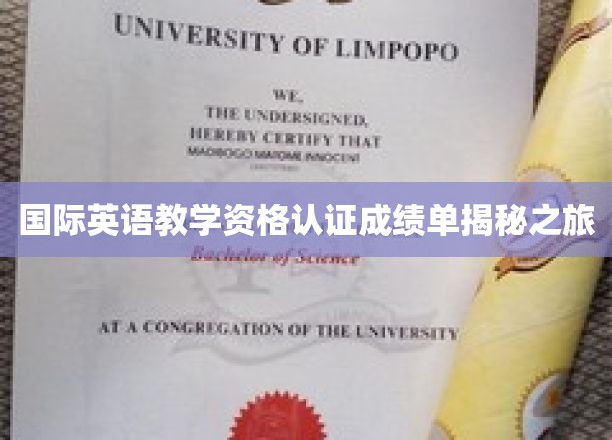解码国际英语教师资格认证背后的精彩世界