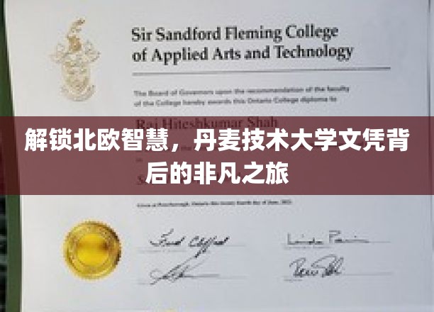 跨越海峡，探索丹麦技术大学，揭开非凡教育旅程的北欧秘密