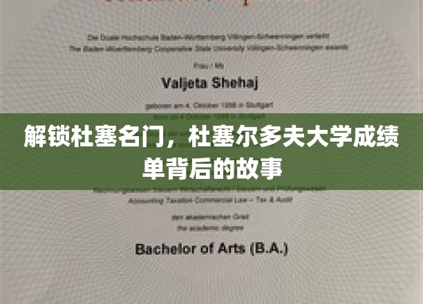 杜塞风云，揭秘杜塞尔多夫大学成绩单背后的传奇轨迹