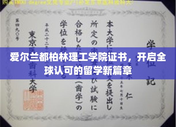 都柏林理工学院国际证书，领航留学新潮流全球通行证