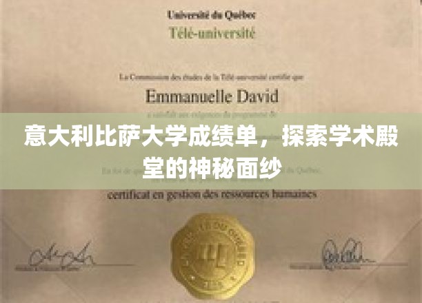 解锁意式学术传奇，一探比萨大学成绩单的奥秘