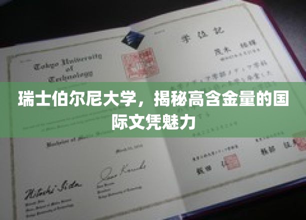 瑞士伯尔尼大学，解锁全球精英青睐的国际文凭之谜