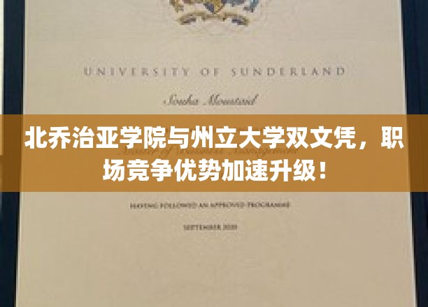 双学历加速职场飞跃，北乔治亚学院与州立大学联手打造双赢未来