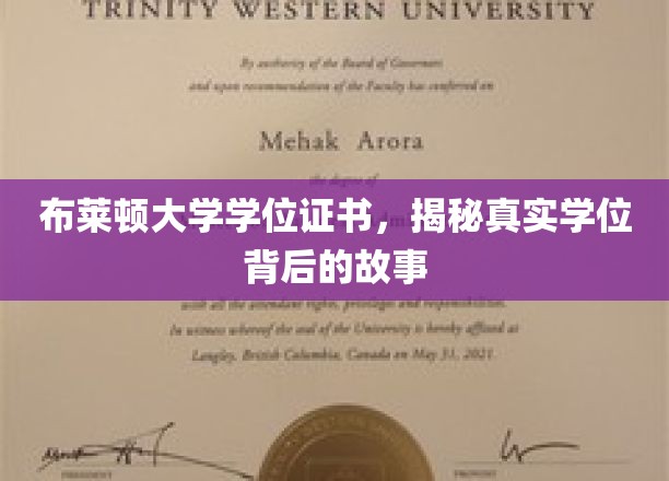 解码布莱顿大学文凭，探寻学位背后的传奇故事