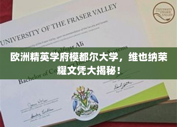 揭开维也纳荣耀，模都尔大学精英教育之谜