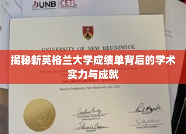 探秘新英格兰大学成绩单：揭开其学术实力与成就的面纱