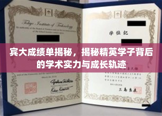 宾大成绩单揭秘，揭秘精英学子背后的学术实力与成长轨迹