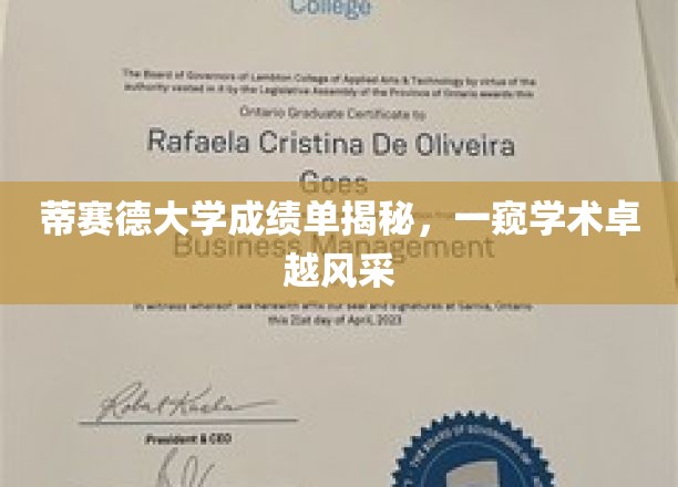 蒂赛德大学成绩单揭秘，一窥学术卓越风采