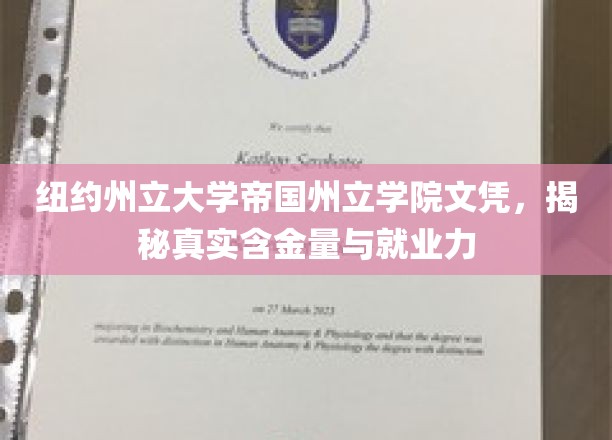 纽约州立大学帝国州立学院文凭，解析含金量与就业前景双重价值