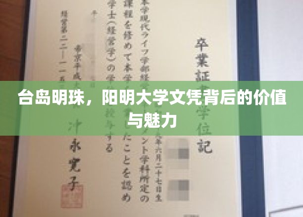 台岛瑰宝，阳明大学学历的非凡魅力与深层价值