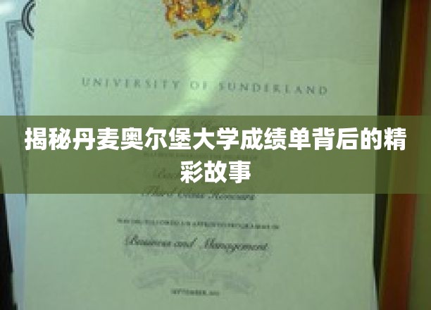 丹麦奥尔堡大学成绩单，探寻学术成就背后的不凡历程