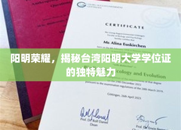 台湾阳明大学学位证，探寻荣耀背后的独特印记