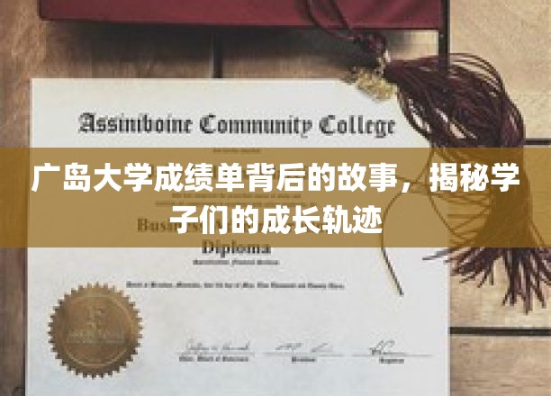 广岛大学成绩单，学子成长轨迹的幕后传奇