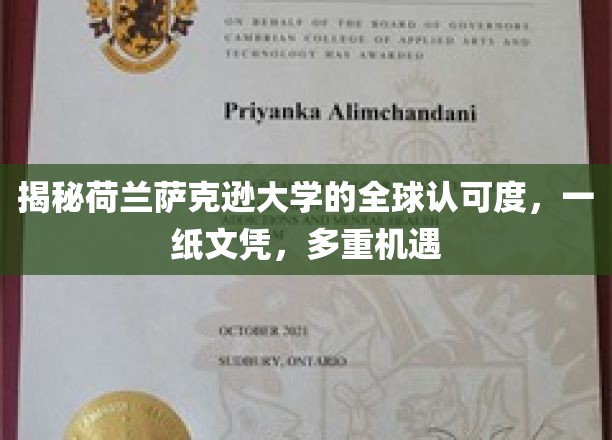 荷兰萨克逊大学，国际认可，一纸文凭，开启无限可能