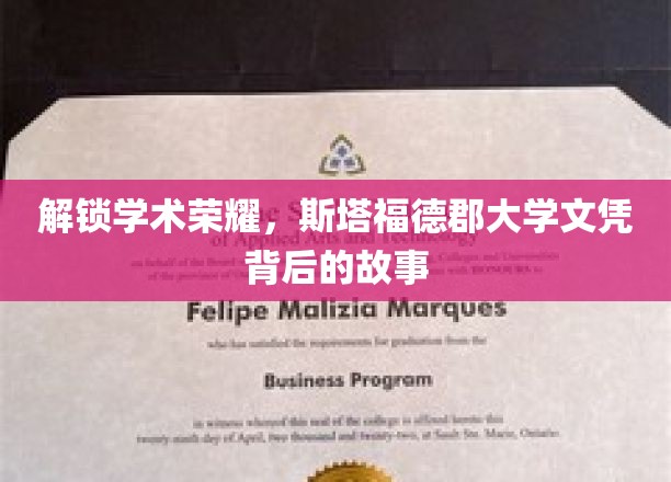 探寻斯塔福德郡大学荣耀背后的秘密之旅