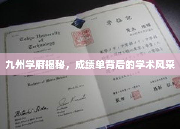 九州学府揭秘，成绩单背后的学术风采