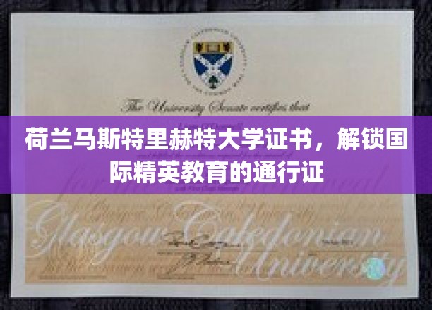 跨越国界的教育通行证，荷兰马斯特里赫特大学证书，引领全球精英之路