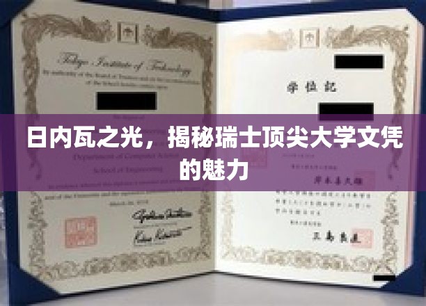 日内瓦之光，揭秘瑞士顶尖大学文凭的魅力