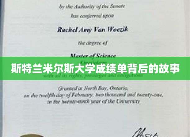 揭开斯特兰米尔斯大学成绩单背后的秘密角落