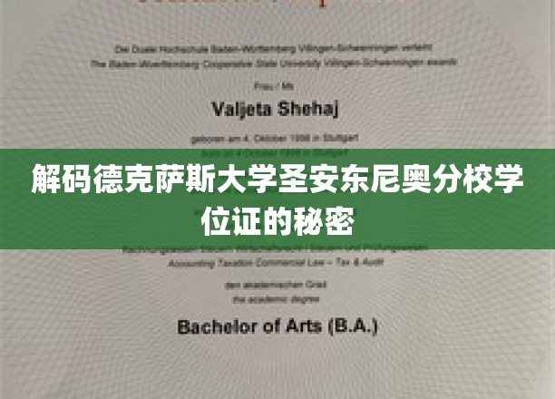 揭开德克萨斯大学圣安东尼奥分校学位证背后的神秘面纱