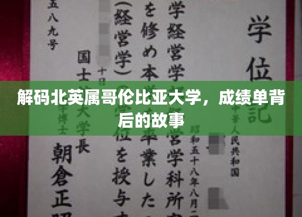 探寻北英属哥伦比亚大学，成绩单背后的真实面貌