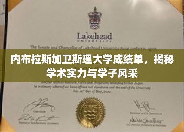 内布拉斯加卫斯理大学，成绩单背后，探秘学术魅力与学子风采