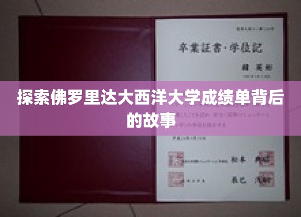 探索佛罗里达大西洋大学成绩单背后的故事