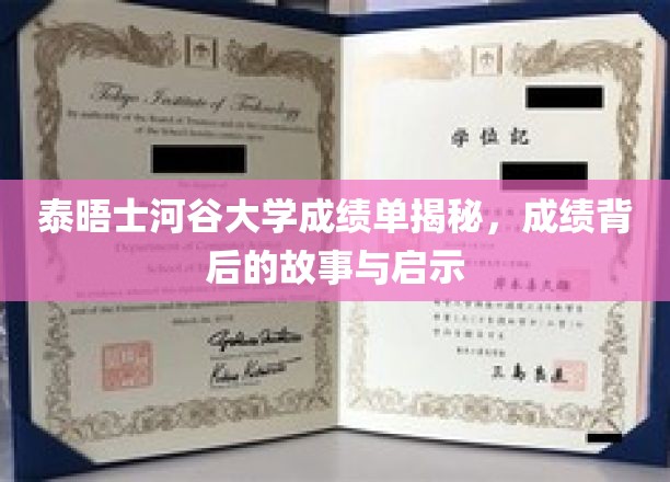 泰晤士河谷大学成绩单揭秘，成绩背后的故事与启示