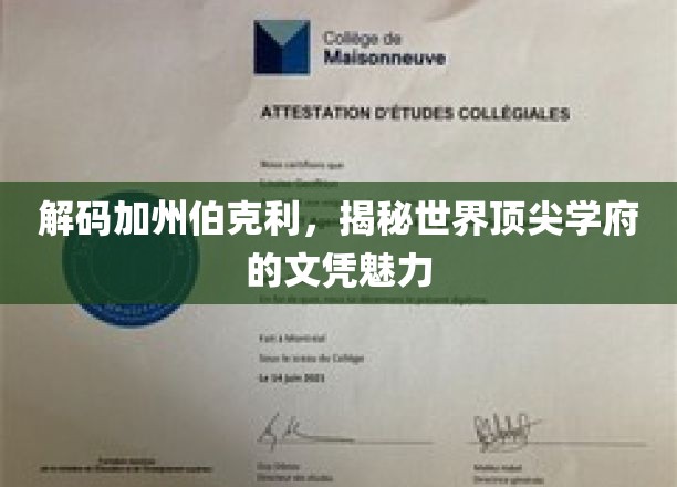 探寻伯克利传奇，揭秘顶尖学府的卓越文凭之路