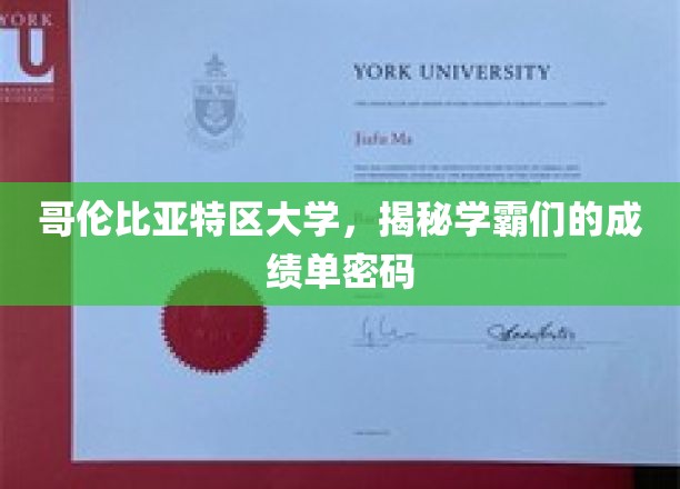 哥伦比亚特区大学，揭秘学霸们的成绩单密码