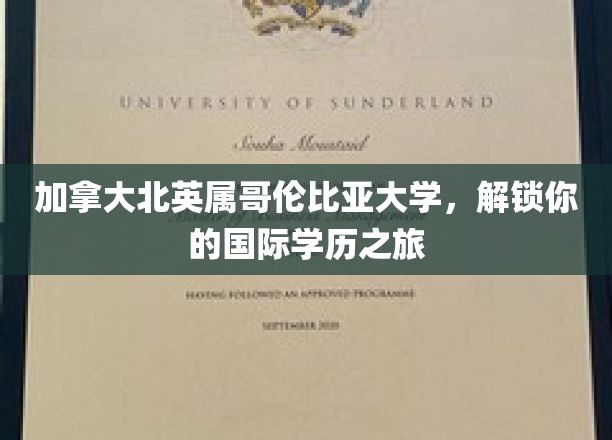 穿越国界，开启北英属哥伦比亚大学的全球学历探索之旅
