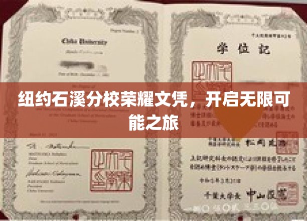 纽约石溪分校荣耀文凭，开启无限可能之旅
